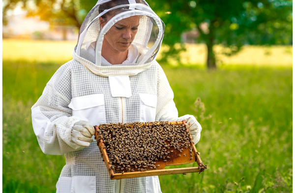 A Complete Guide for Beginners on How to Choose a Bee Suit