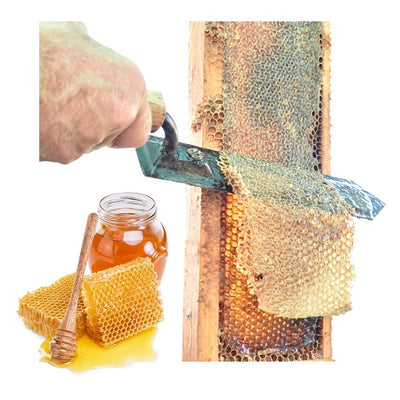 Honey Harvesting