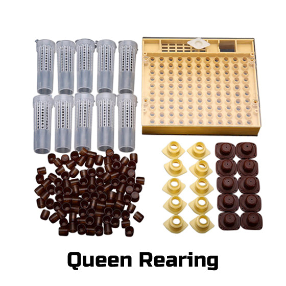 Queen Rearing