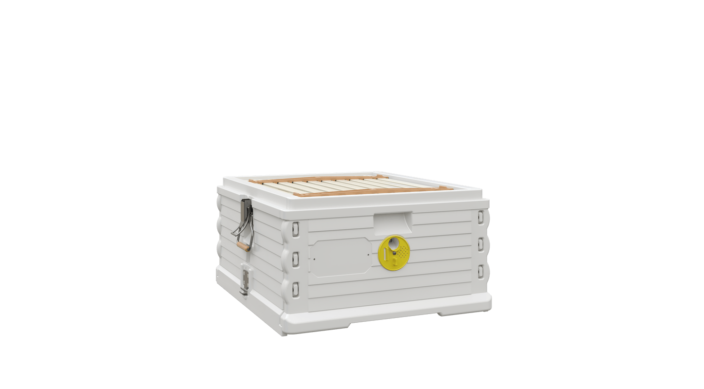 Apimaye 10-Frame Full Depth Beehive Box