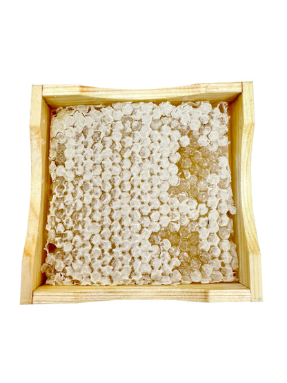  Close-up of set of 8 honeycombs wooden frames, focusing on their innovative design details