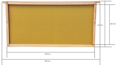 Full Depth Assembled Plastic Embedded Beehive Frames