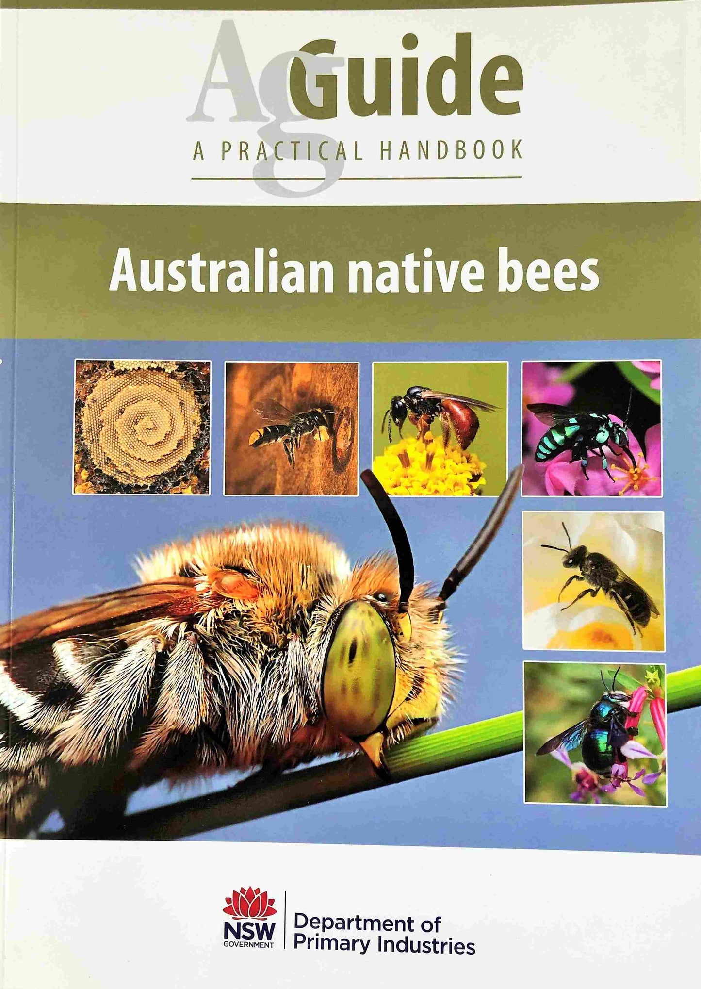 Australian Native Bees