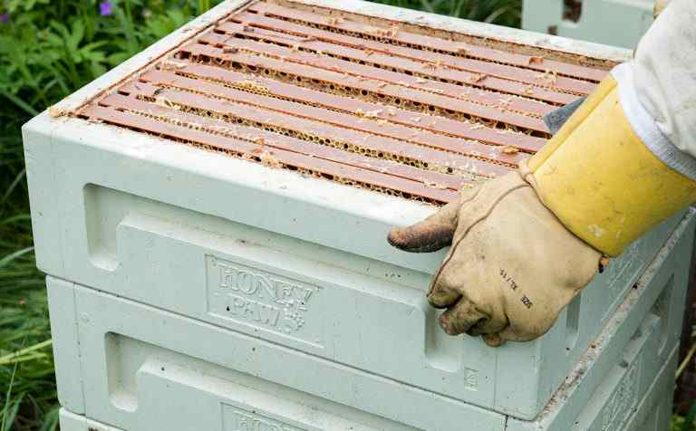 Honey Paw Polystyrene 10 Frames  Beehive Three Level