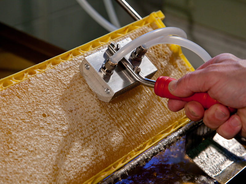 Honey Paw Uncapping Slit in Australia