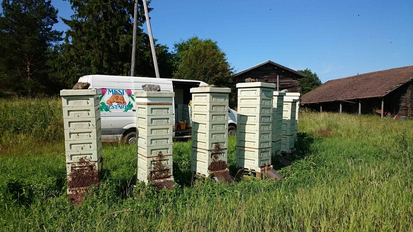 Honey Paw Polystyrene 10 Frames  Beehive Three Level