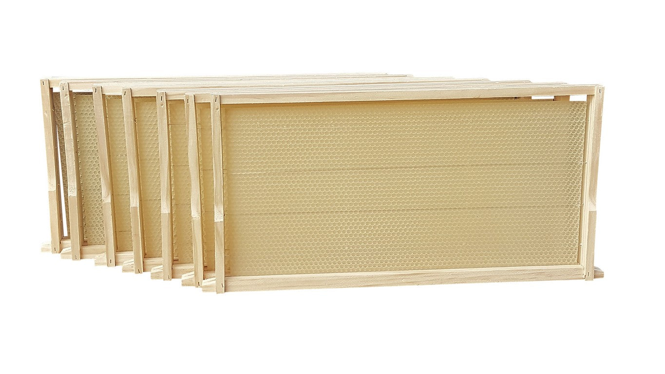 10 X Honey Paw Polystyrene 10 Frames Beehive Three Level