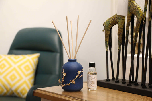 Aromatic Plant Oil Diffuser