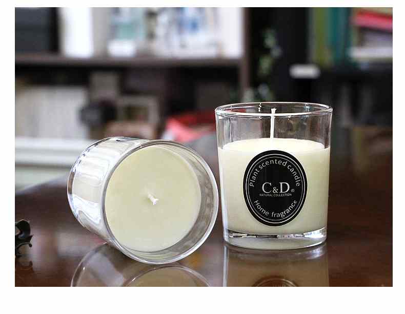 Plant Scented Candle